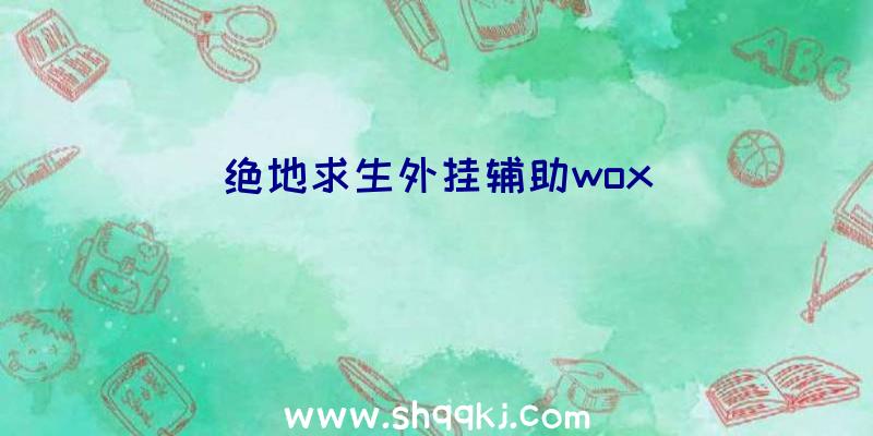 绝地求生外挂辅助wox