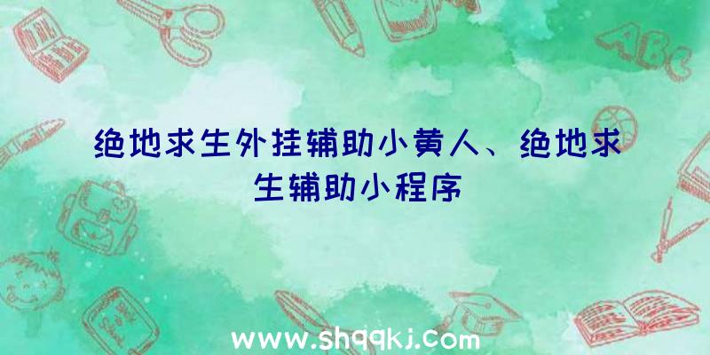 绝地求生外挂辅助小黄人、绝地求生辅助小程序