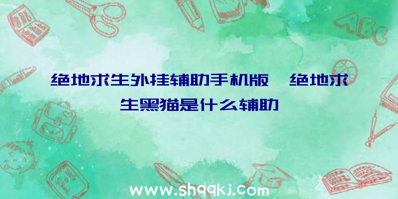 绝地求生外挂辅助手机版、绝地求生黑猫是什么辅助