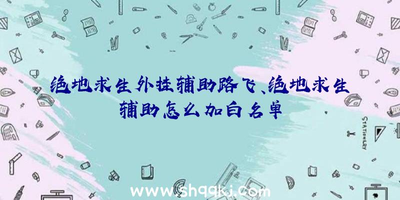 绝地求生外挂辅助路飞、绝地求生辅助怎么加白名单