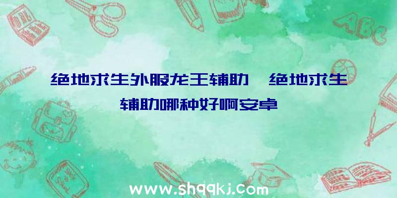 绝地求生外服龙王辅助、绝地求生辅助哪种好啊安卓