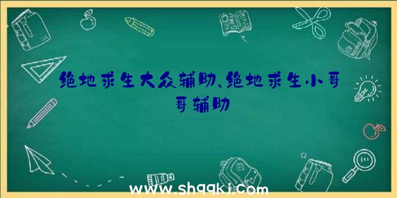 绝地求生大众辅助、绝地求生小哥哥辅助