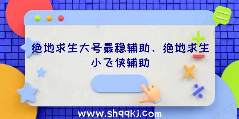 绝地求生大号最稳辅助、绝地求生小飞侠辅助