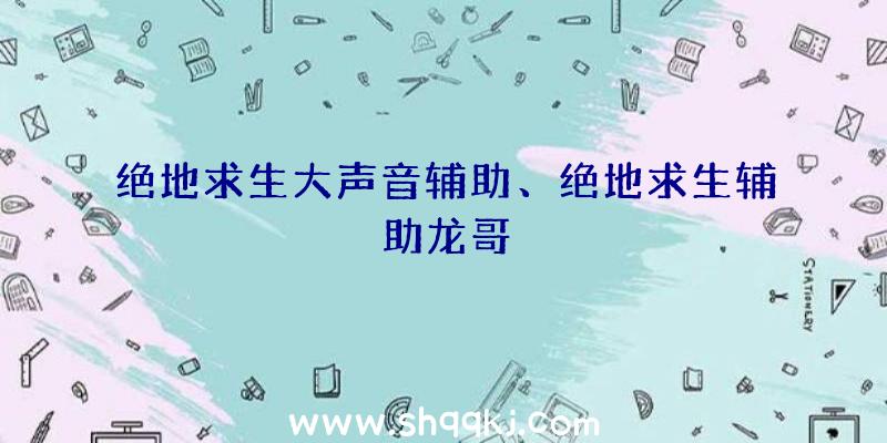 绝地求生大声音辅助、绝地求生辅助龙哥