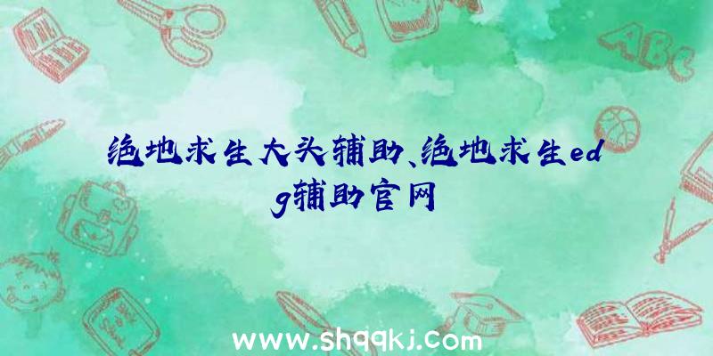 绝地求生大头辅助、绝地求生edg辅助官网