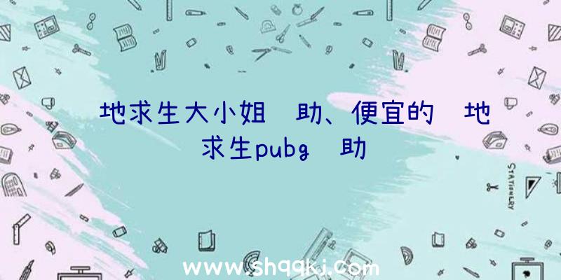 绝地求生大小姐辅助、便宜的绝地求生pubg辅助