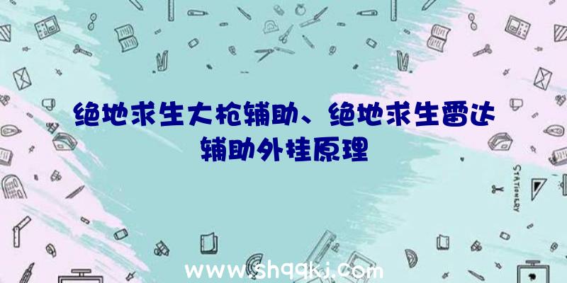 绝地求生大枪辅助、绝地求生雷达辅助外挂原理