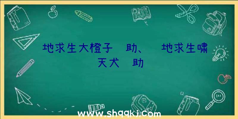 绝地求生大橙子辅助、绝地求生啸天犬辅助