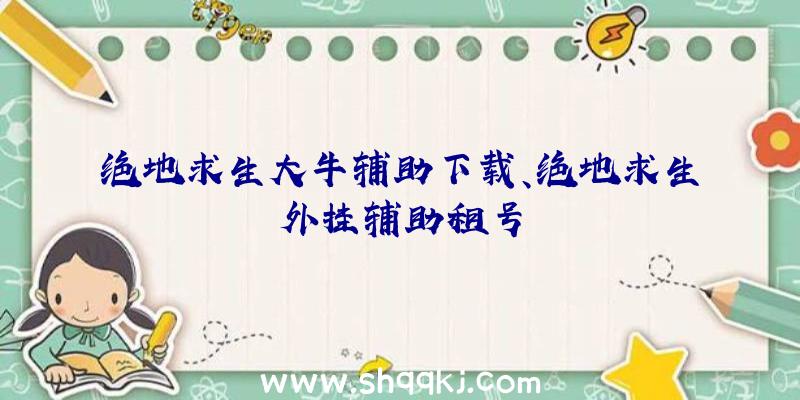 绝地求生大牛辅助下载、绝地求生外挂辅助租号