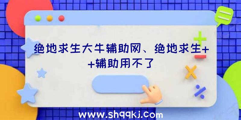 绝地求生大牛辅助网、绝地求生++辅助用不了