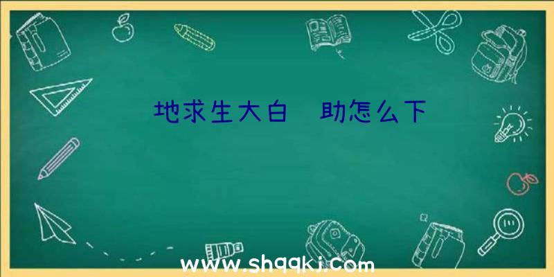 绝地求生大白辅助怎么下载