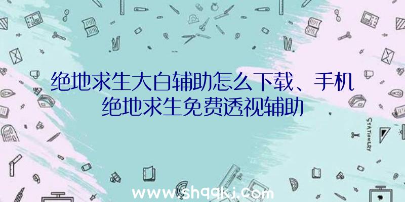 绝地求生大白辅助怎么下载、手机绝地求生免费透视辅助