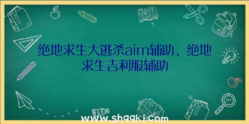 绝地求生大逃杀aim辅助、绝地求生吉利服辅助