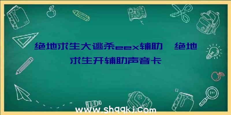 绝地求生大逃杀eex辅助、绝地求生开辅助声音卡