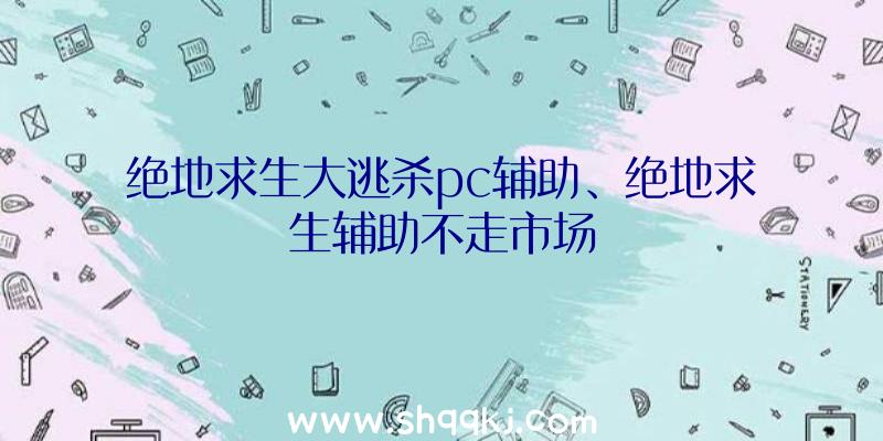 绝地求生大逃杀pc辅助、绝地求生辅助不走市场