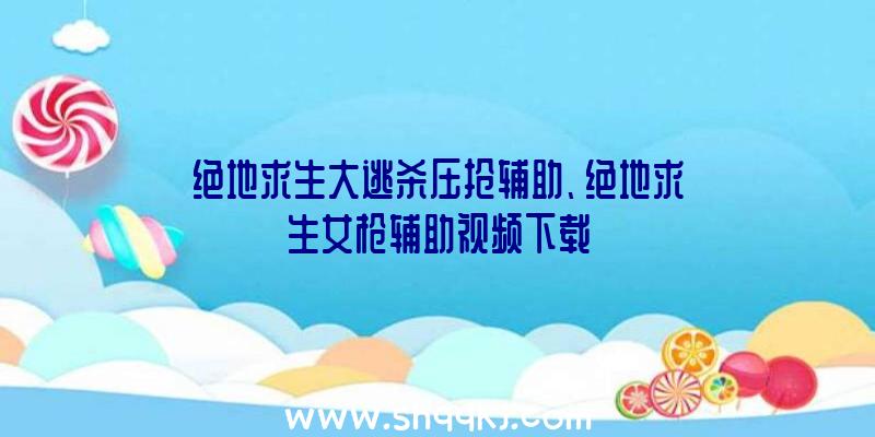 绝地求生大逃杀压抢辅助、绝地求生女枪辅助视频下载