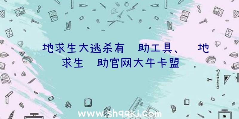 绝地求生大逃杀有辅助工具、绝地求生辅助官网大牛卡盟