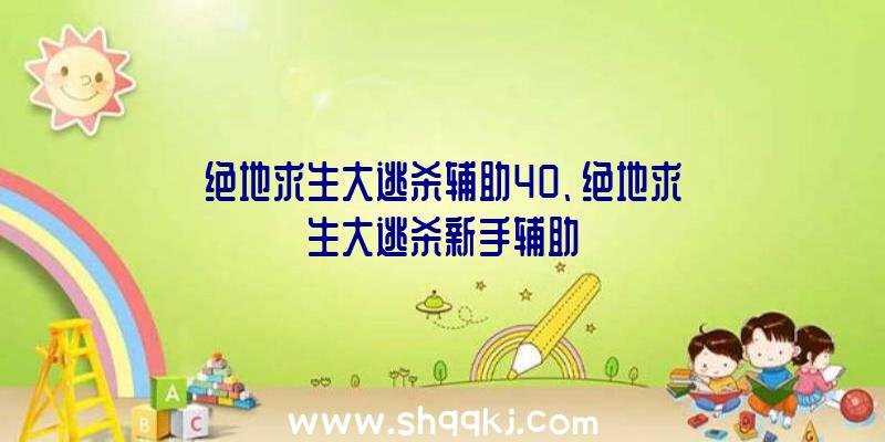 绝地求生大逃杀辅助40、绝地求生大逃杀新手辅助