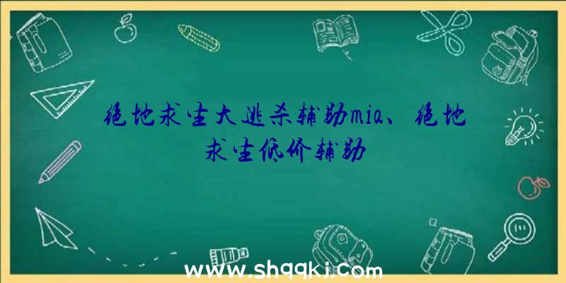 绝地求生大逃杀辅助mia、绝地求生低价辅助