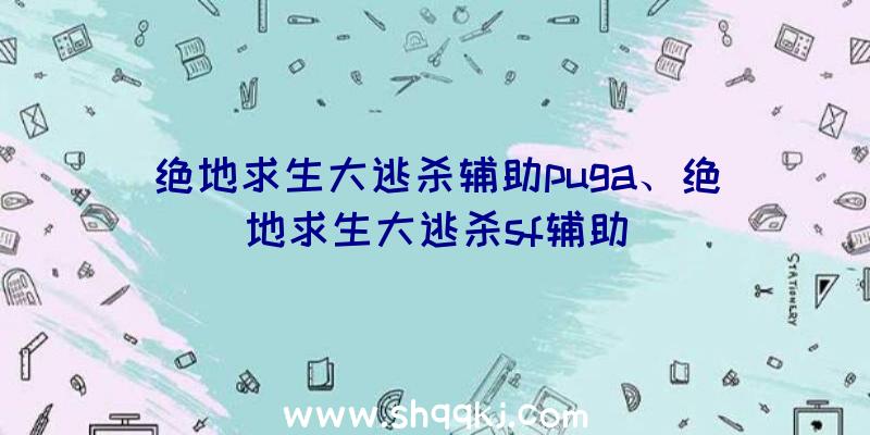 绝地求生大逃杀辅助puga、绝地求生大逃杀sf辅助