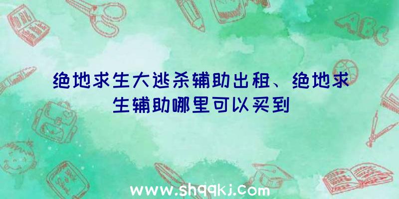 绝地求生大逃杀辅助出租、绝地求生辅助哪里可以买到