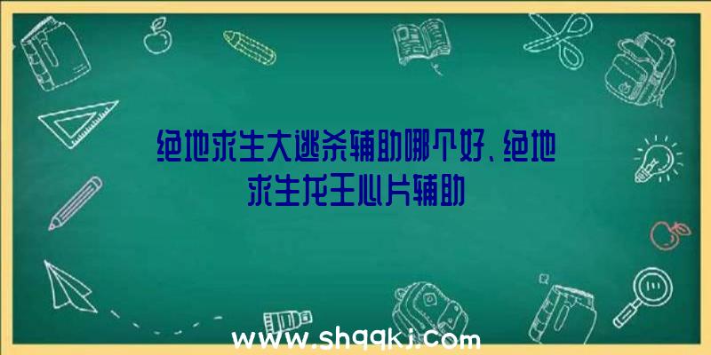 绝地求生大逃杀辅助哪个好、绝地求生龙王心片辅助