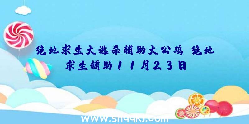 绝地求生大逃杀辅助大公鸡、绝地求生辅助11月23日