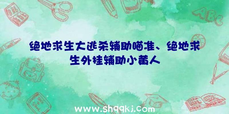 绝地求生大逃杀辅助瞄准、绝地求生外挂辅助小黄人