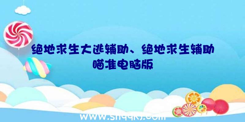 绝地求生大逃辅助、绝地求生辅助瞄准电脑版