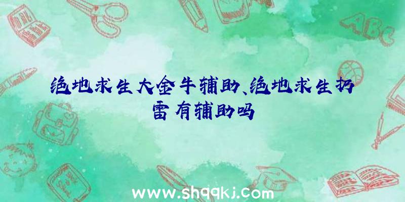 绝地求生大金牛辅助、绝地求生扔雷有辅助吗