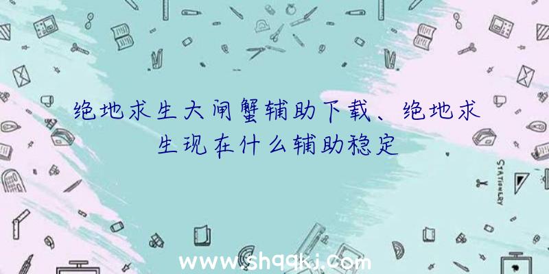 绝地求生大闸蟹辅助下载、绝地求生现在什么辅助稳定