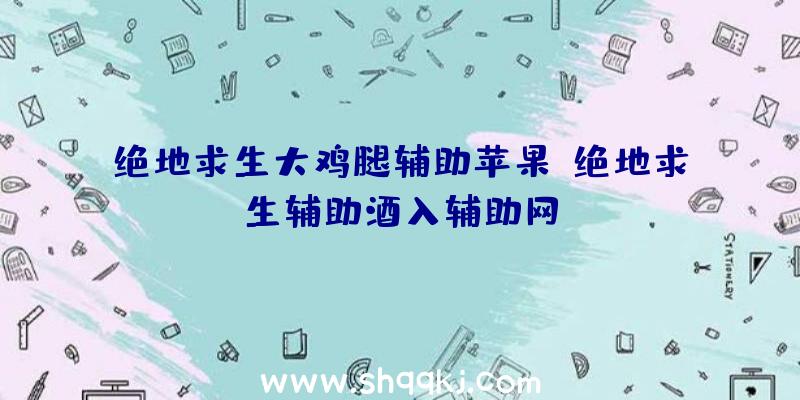 绝地求生大鸡腿辅助苹果、绝地求生辅助酒入辅助网