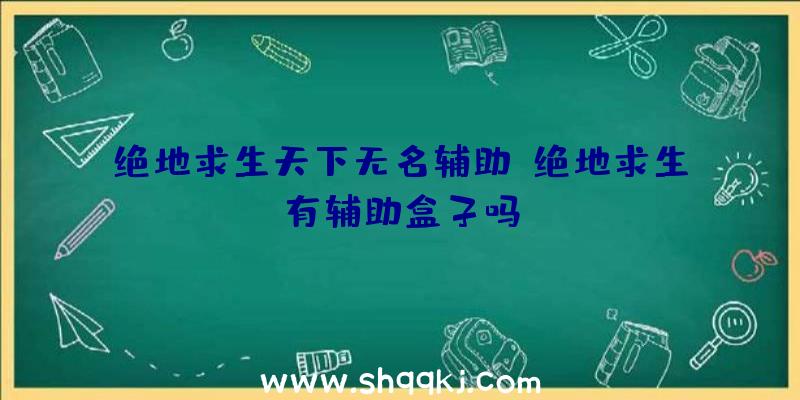 绝地求生天下无名辅助、绝地求生有辅助盒子吗