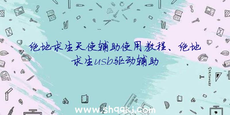 绝地求生天使辅助使用教程、绝地求生usb驱动辅助