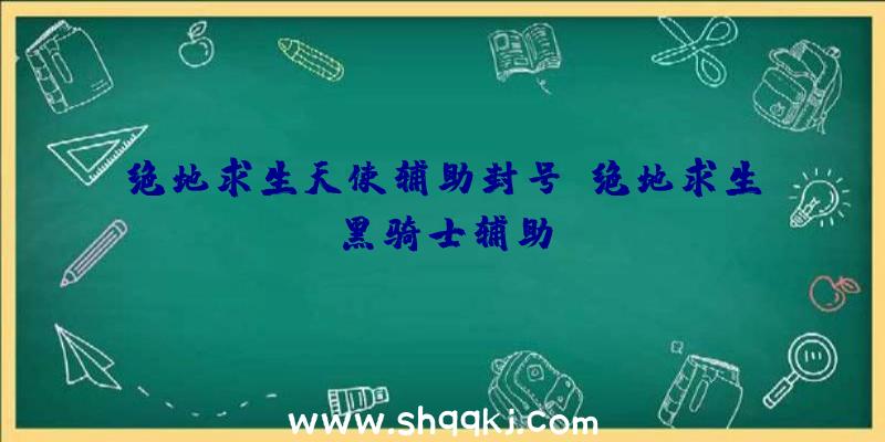 绝地求生天使辅助封号、绝地求生黑骑士辅助