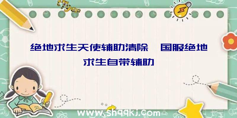 绝地求生天使辅助清除、国服绝地求生自带辅助