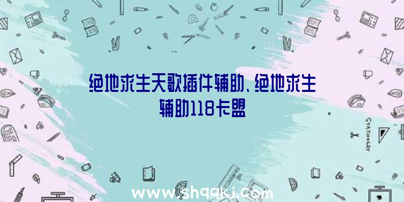 绝地求生天歌插件辅助、绝地求生辅助118卡盟