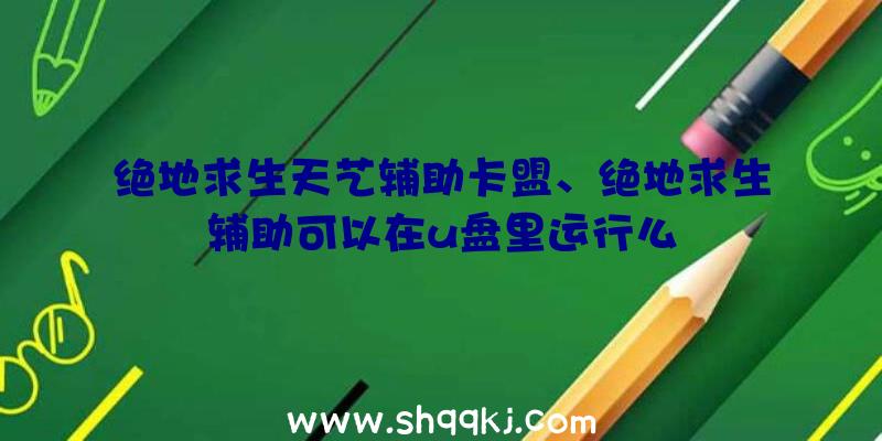 绝地求生天艺辅助卡盟、绝地求生辅助可以在u盘里运行么