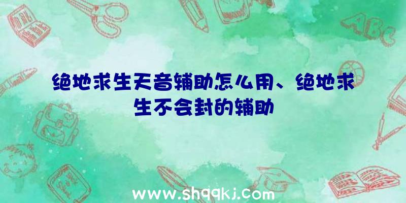 绝地求生天音辅助怎么用、绝地求生不会封的辅助