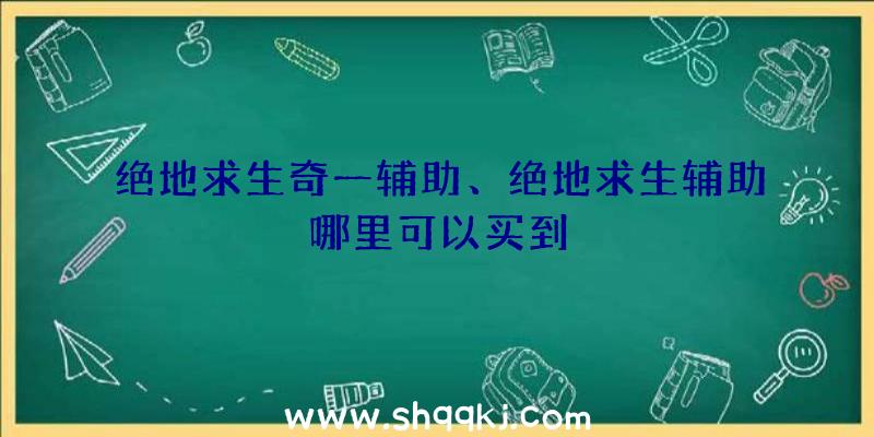 绝地求生奇一辅助、绝地求生辅助哪里可以买到