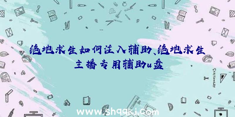 绝地求生如何注入辅助、绝地求生主播专用辅助u盘