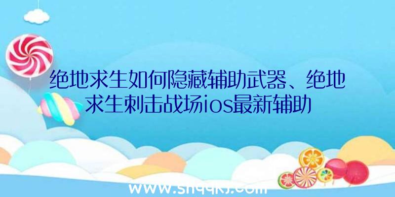 绝地求生如何隐藏辅助武器、绝地求生刺击战场ios最新辅助