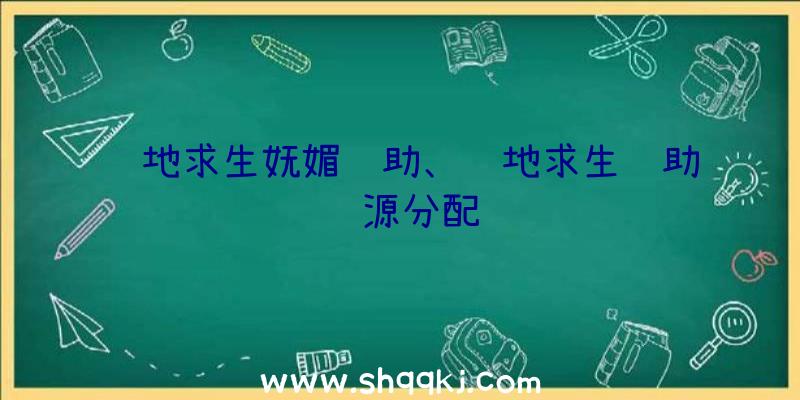 绝地求生妩媚辅助、绝地求生辅助资源分配