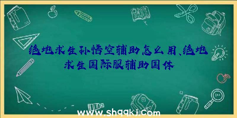 绝地求生孙悟空辅助怎么用、绝地求生国际服辅助国体