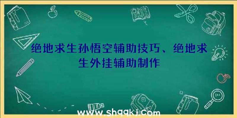 绝地求生孙悟空辅助技巧、绝地求生外挂辅助制作