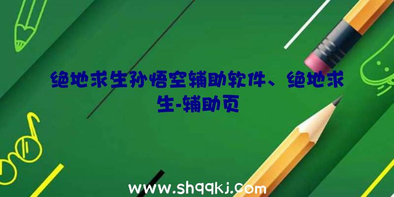 绝地求生孙悟空辅助软件、绝地求生-辅助页