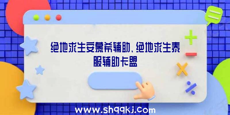 绝地求生安慕希辅助、绝地求生泰服辅助卡盟