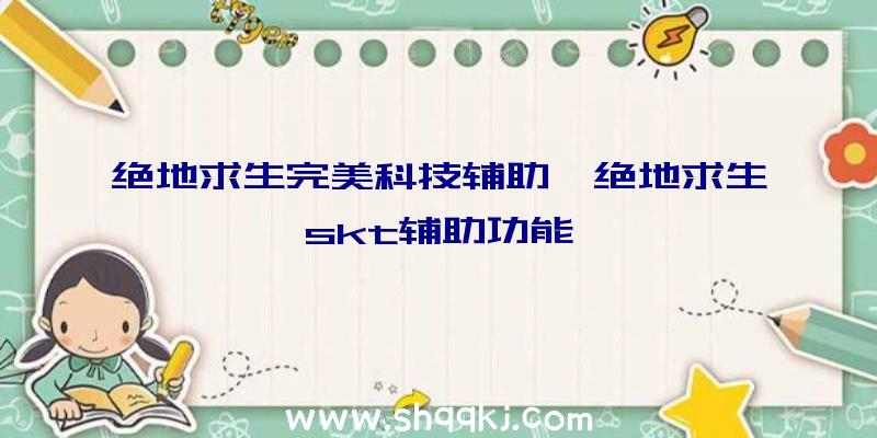 绝地求生完美科技辅助、绝地求生skt辅助功能