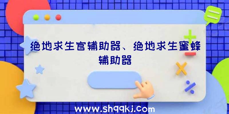 绝地求生官辅助器、绝地求生蜜蜂辅助器