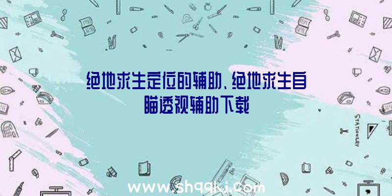 绝地求生定位的辅助、绝地求生自瞄透视辅助下载